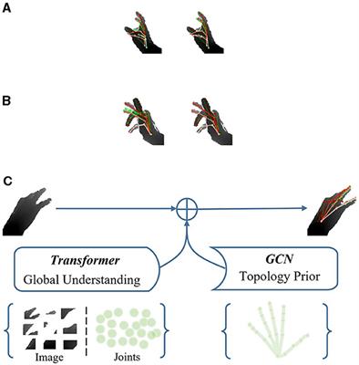 3D hand pose and mesh estimation via a generic Topology-aware Transformer model
